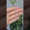 0.52 Karat Pırlanta Bileklik - BL00941