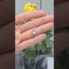 1.18 Ct F-G Renk Pırlanta ve Blue Topaz Kolye - KL02230