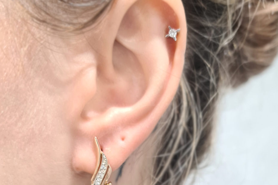 2. El 0.08 Karat Pırlanta Fantezi Küpe - X003479