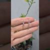 2. El 0.10 Karat Pırlanta Tektaş Küpe - X003511
