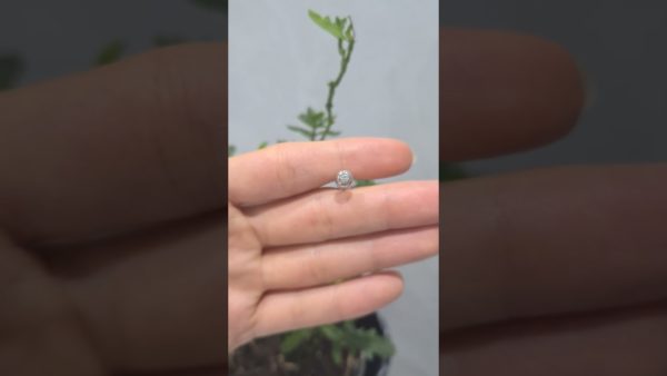 2. El 0,04 Karat Tektaş Tek Küpe ürün videosu