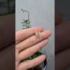 2. El 0,02 Karat Tek Kedi Küpe - X003761