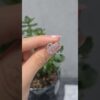 2. El 0,20 Karat Pırlanta K Harf Yüzük - X003910