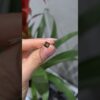 0,55 Karat Pırlanta ve Peridot Yüzük