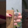 2. El 0,30 Karat Brown Pırlanta Tasarım Küpe X005476
